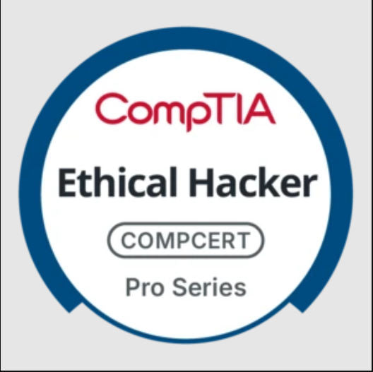TestOut Ethical Hacker Pro - Individual (12 Month Access)
